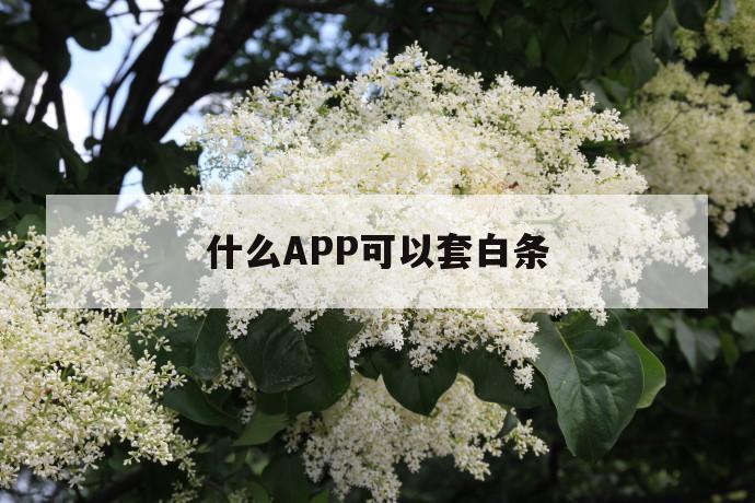 什么app可以套白条 第1张