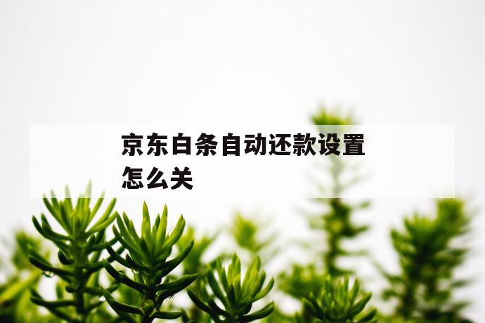 京东白条自动还款设置怎么关 第1张