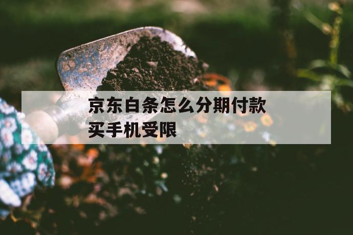 京东白条怎么分期付款买手机受限 第1张