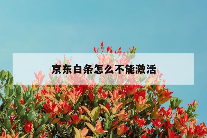 京东白条怎么不能激活 第1张