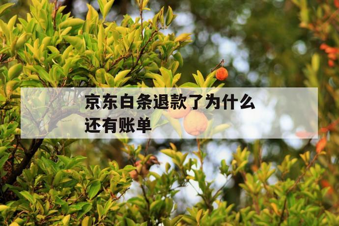 京东白条退款了为什么还有账单 第1张