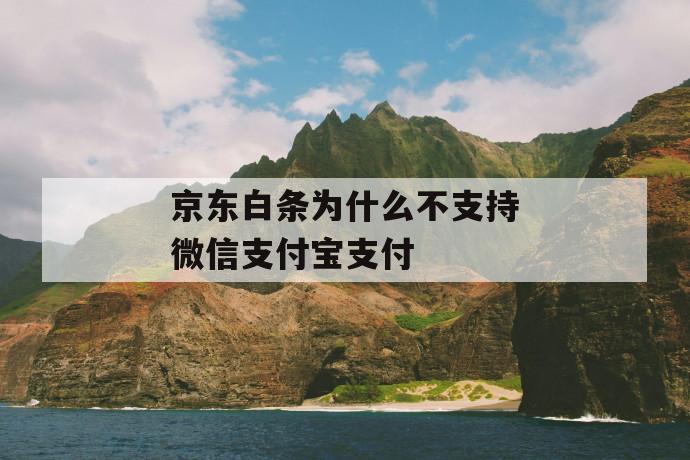 京东白条为什么不支持微信支付宝支付 第1张