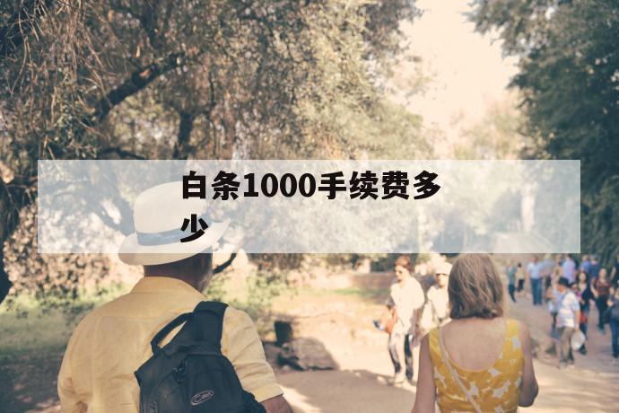 白条1000手续费多少 第1张