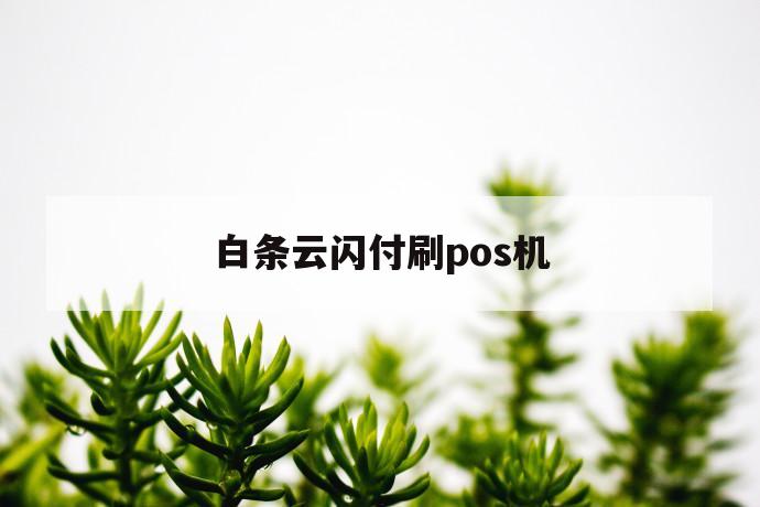 白条云闪付刷pos机 第1张