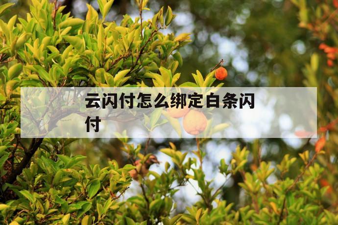 云闪付怎么绑定白条闪付 第1张