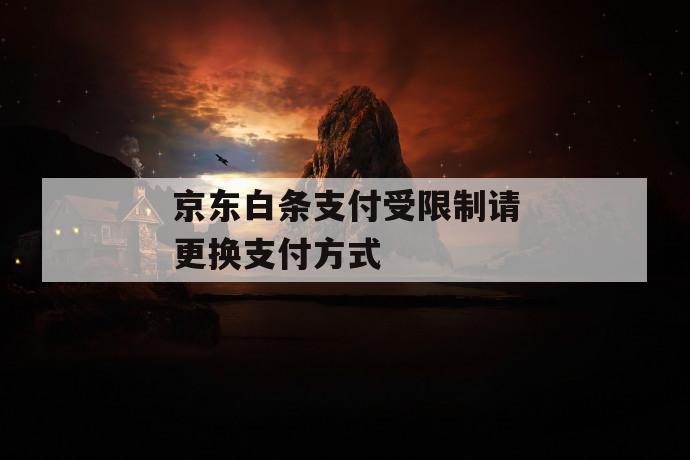 京东白条支付受限制请更换凯发天生赢家一触即发官网的支付方式 第1张