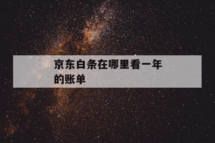 京东白条在哪里看一年的账单 第1张