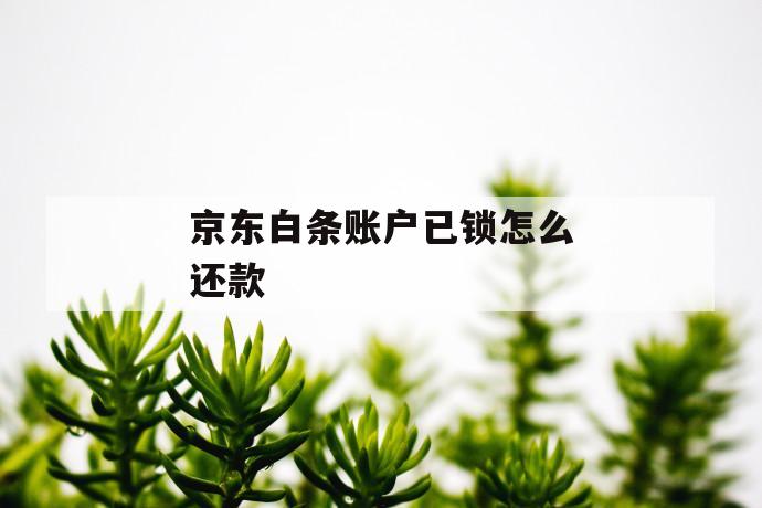 京东白条账户已锁怎么还款 第1张