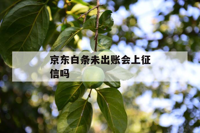 京东白条未出账会上征信吗 第1张