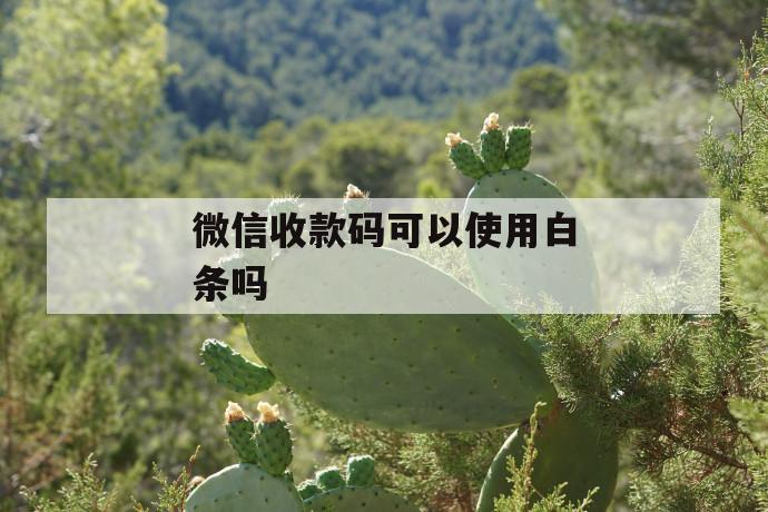 微信收款码可以使用白条吗 第1张