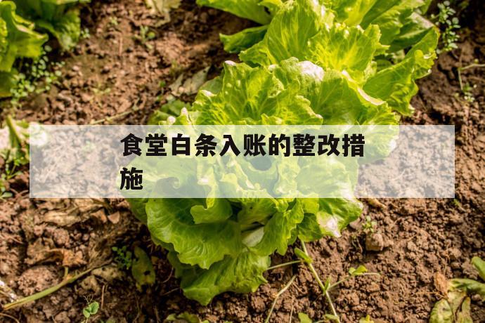 食堂白条入账的整改措施 第1张