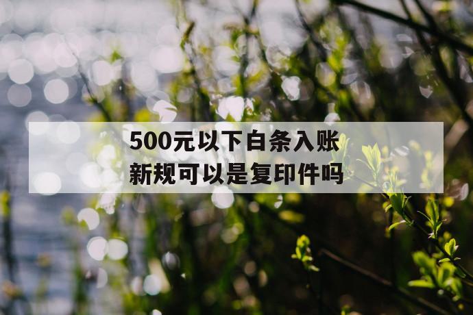 500元以下白条入账新规可以是复印件吗 第1张