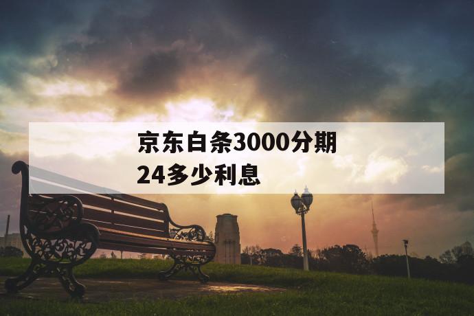 京东白条3000分期24多少利息 第1张