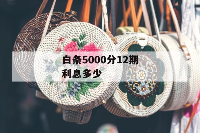 白条5000分12期利息多少 第1张