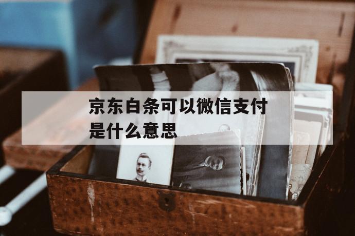 京东白条可以微信支付是什么意思 第1张