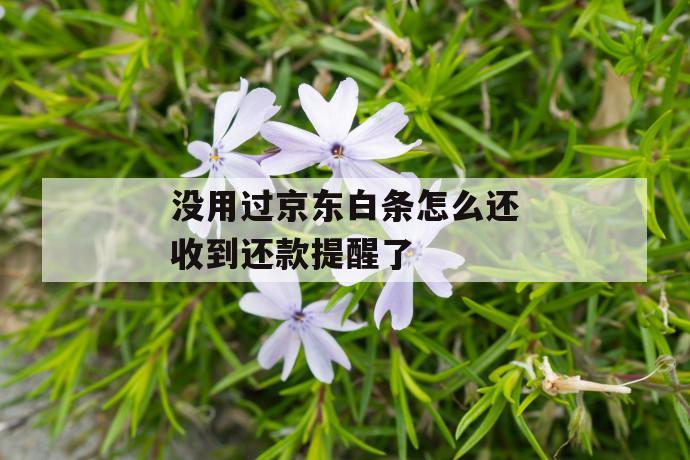 没用过京东白条怎么还收到还款提醒了 第1张