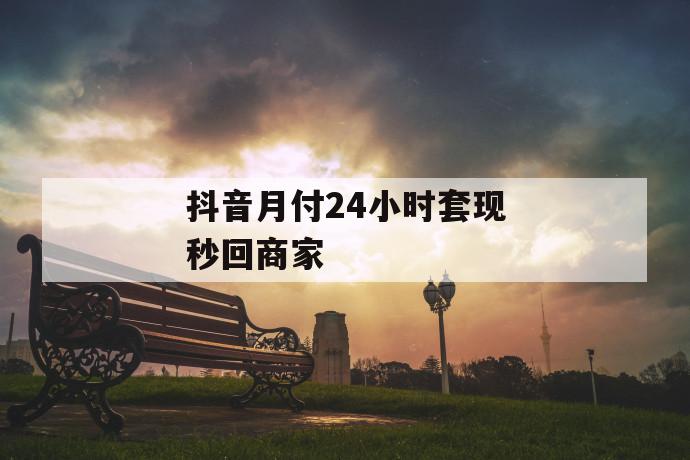 抖音月付24小时套现秒回商家 第1张