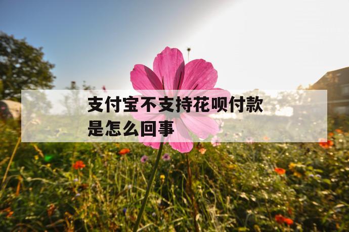 支付宝不支持花呗付款是怎么回事 第1张