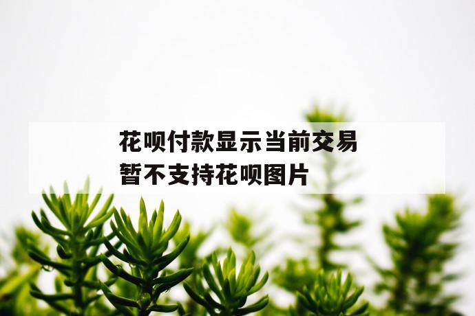 花呗付款显示当前交易暂不支持花呗图片 第1张