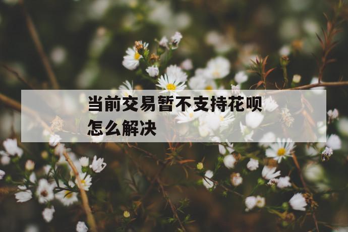 当前交易暂不支持花呗怎么解决 第1张