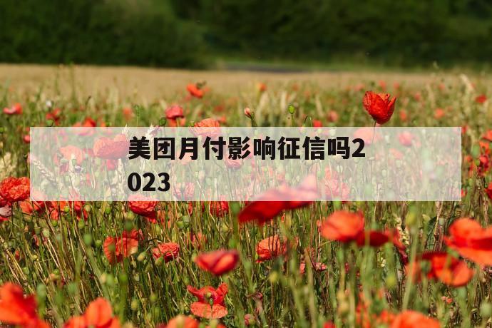 美团月付影响征信吗2023 第1张