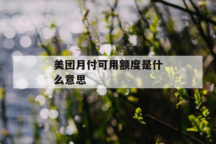 美团月付可用额度是什么意思 第1张