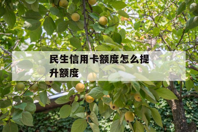 民生信用卡额度怎么提升额度 第1张