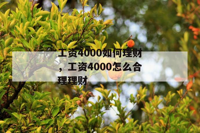 工资4000如何理财，工资4000怎么合理理财 第1张