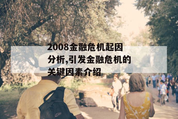 2008金融危机起因分析,引发金融危机的关键因素介绍