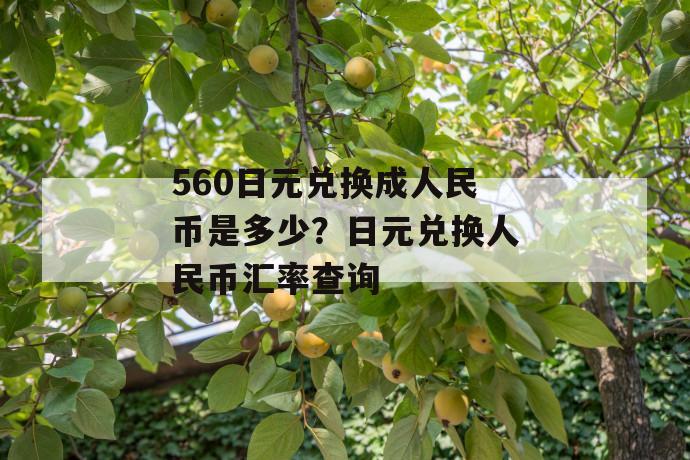 560日元兑换成人民币是多少？日元兑换人民币汇率查询