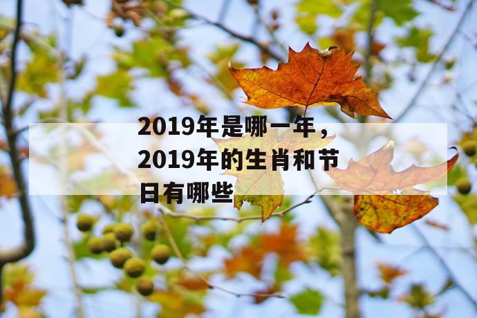 2019年是哪一年，2019年的生肖和节日有哪些 第1张