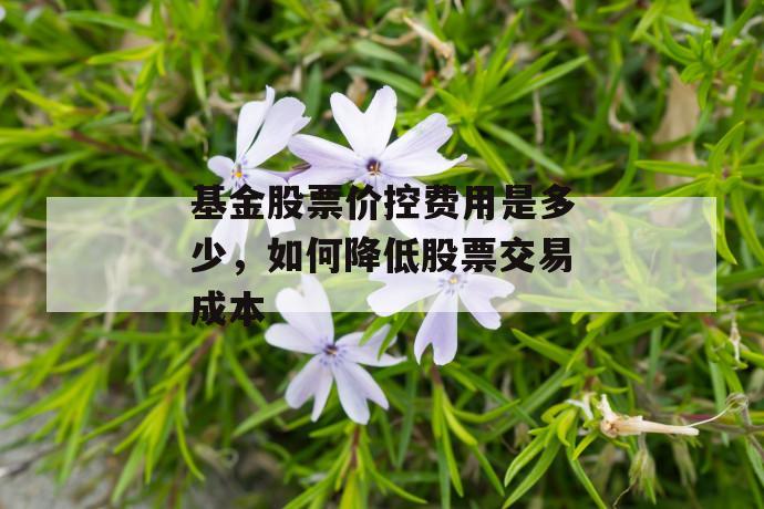 基金股票价控费用是多少，如何降低股票交易成本 第1张