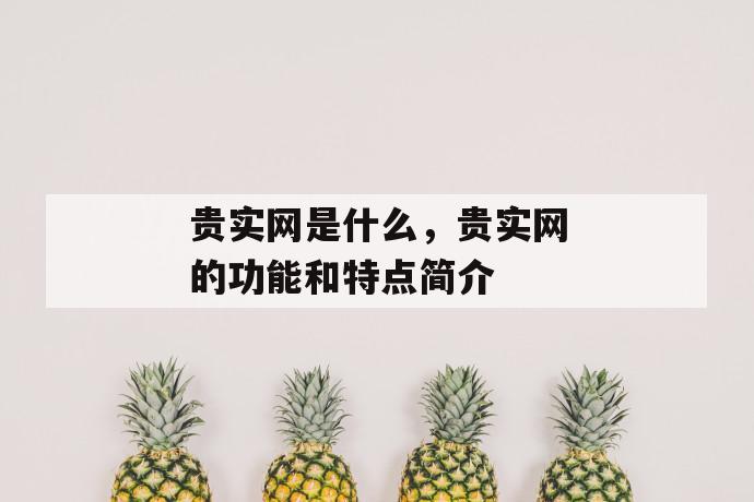 贵实网是什么，贵实网的功能和特点简介 第1张