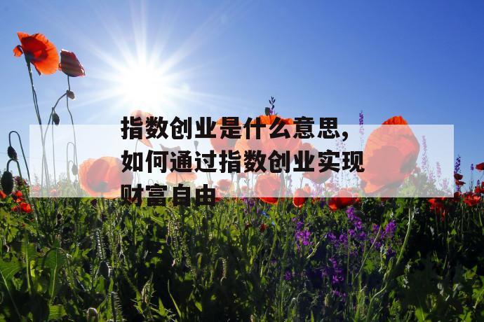 指数创业是什么意思,如何通过指数创业实现财富自由