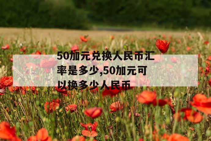 50加元兑换人民币汇率是多少,50加元可以换多少人民币 第1张