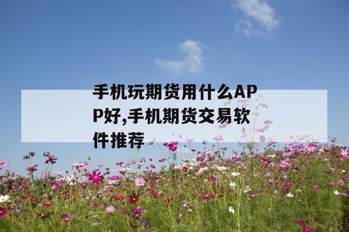 手机玩期货用什么app好,手机期货交易软件推荐 第1张