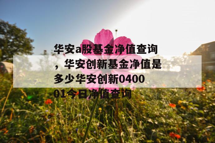 华安a股基金净值查询，华安创新基金净值是多少华安创新040001今日净值查询 第1张