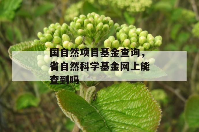 国自然项目基金查询，省自然科学基金网上能查到吗