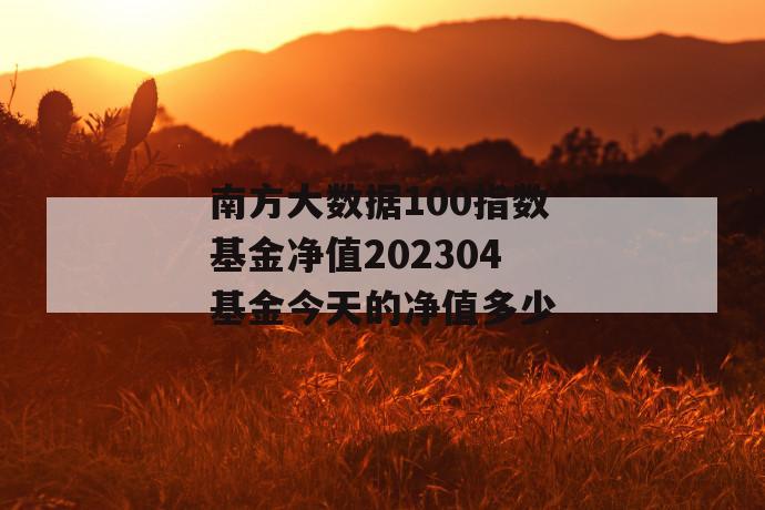 南方大数据100指数基金净值202304基金今天的净值多少 第1张