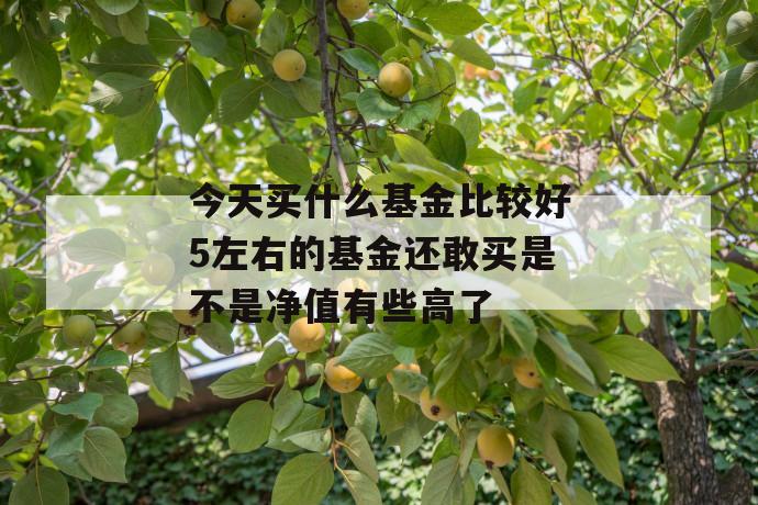 今天买什么基金比较好5左右的基金还敢买是不是净值有些高了