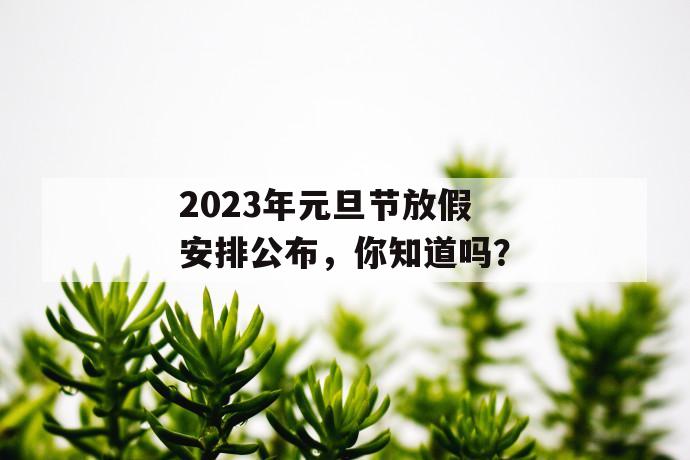 2023年元旦节放假安排公布，你知道吗？ 第1张