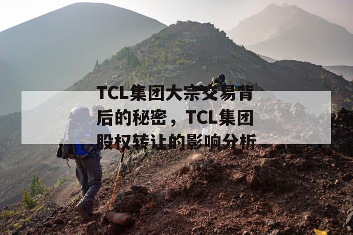 tcl集团大宗交易背后的秘密，tcl集团股权转让的影响分析 第1张