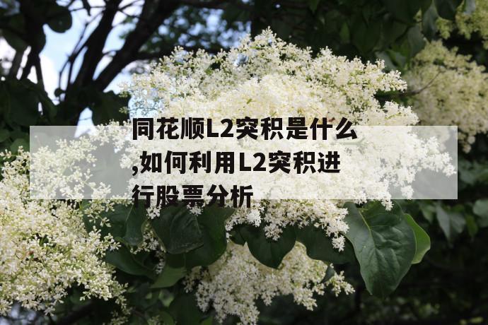 同花顺l2突积是什么,如何利用l2突积进行股票分析