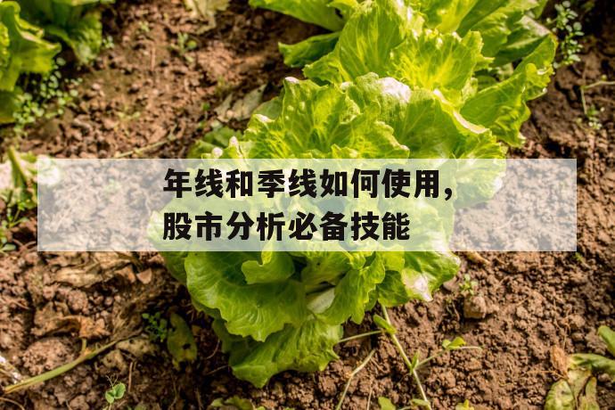 年线和季线如何使用,股市分析必备技能 第1张