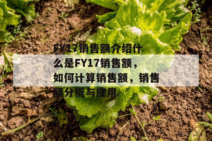 fy17销售额介绍什么是fy17销售额，如何计算销售额，销售额分析与应用 第1张