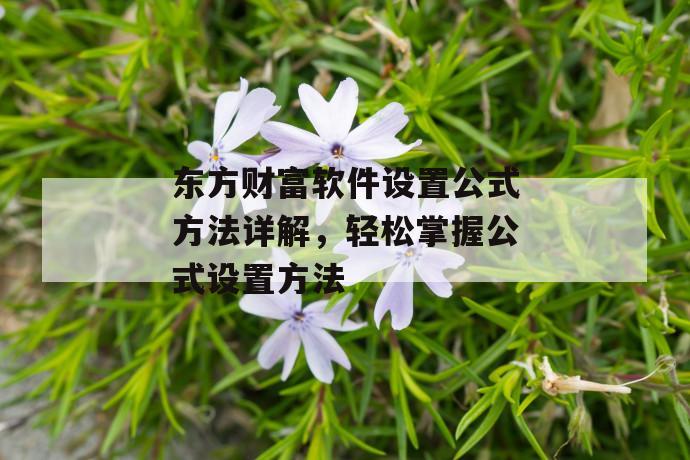 东方财富软件设置公式方法详解，轻松掌握公式设置方法 第1张