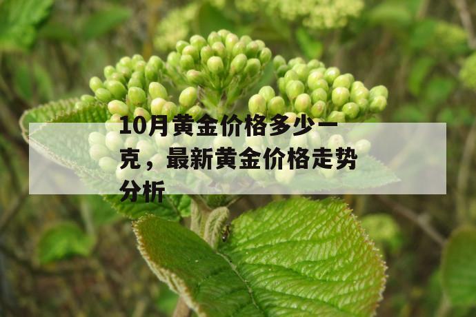 10月黄金价格多少一克，最新黄金价格走势分析 第1张