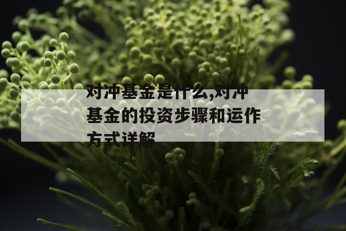 对冲基金是什么,对冲基金的投资步骤和运作方式详解 第1张