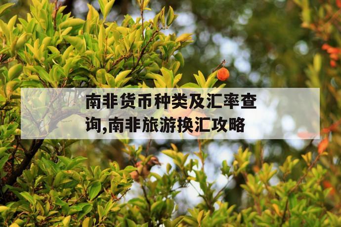 南非货币种类及汇率查询,南非旅游换汇攻略 第1张