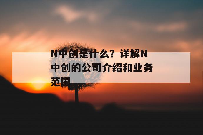 n中创是什么？详解n中创的凯发天生赢家一触即发官网的介绍和凯发天生赢家一触即发官网的业务范围 第1张